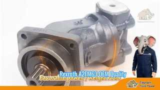 با کیفیت OEM A2FM63 Rexroth سری 6 موتور ثابت پیستون محوری قیمت کارخانه ارسال سریع ویترین